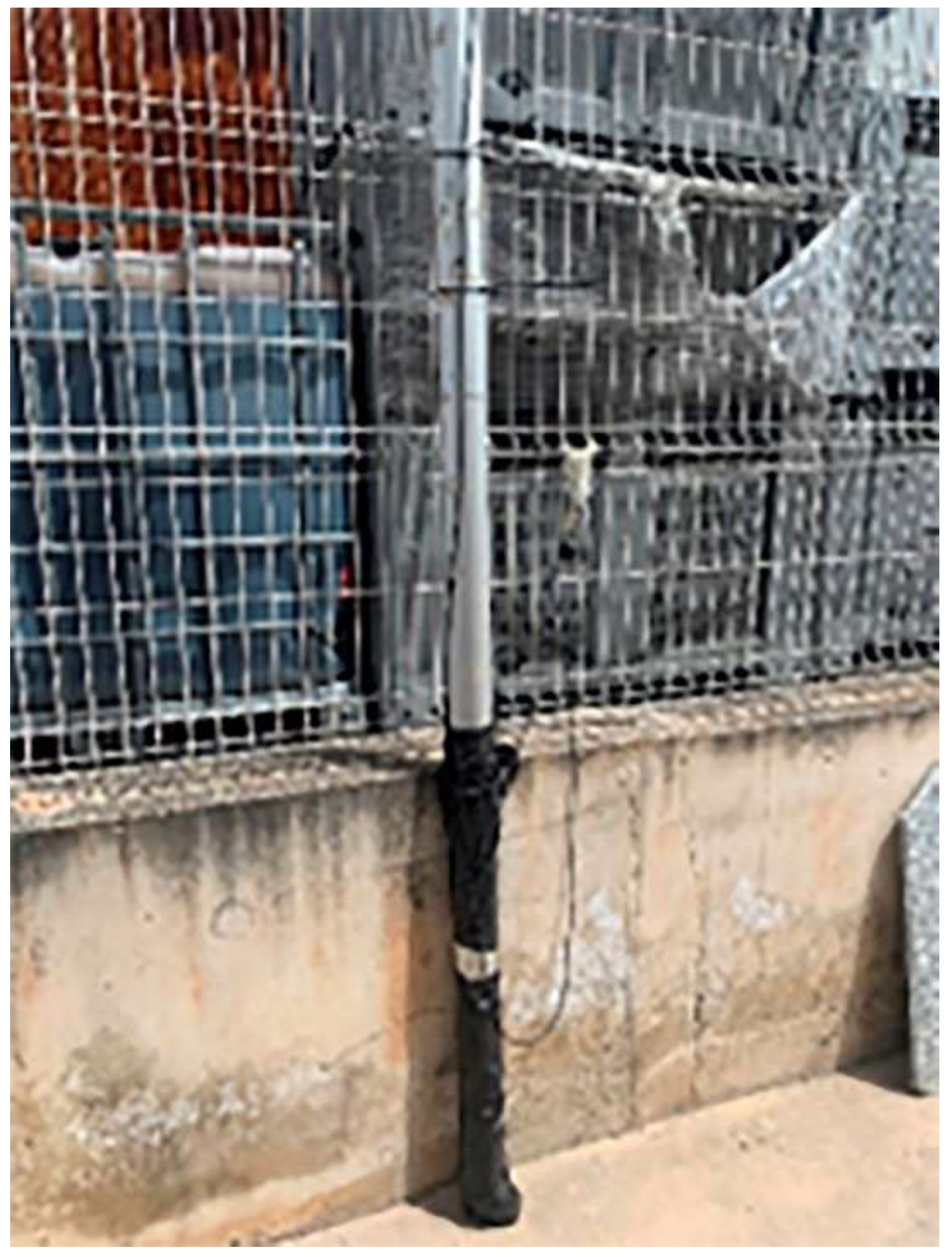 Mathematics 10 01924 g007