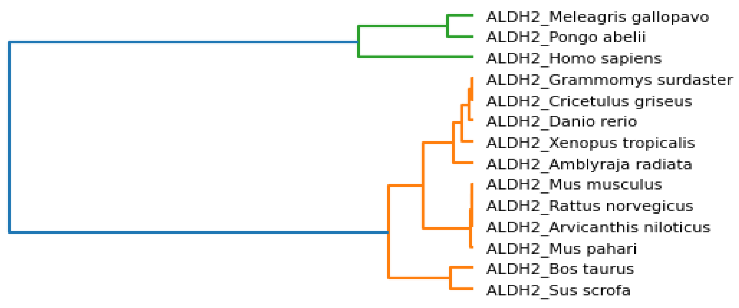 Mathematics 10 02228 g005 Mathematics 10 02228 g005