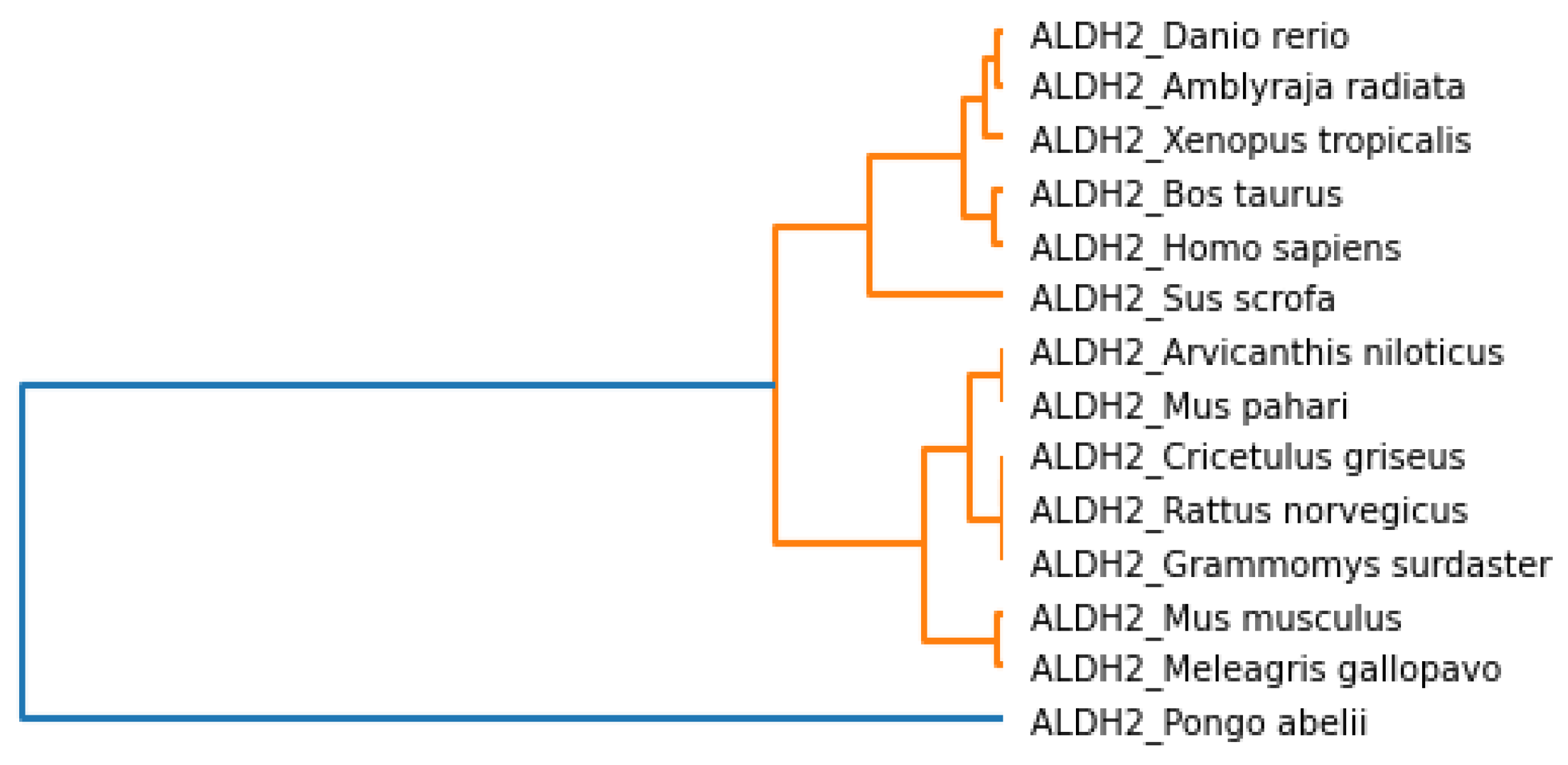 Mathematics 10 02228 g011 Mathematics 10 02228 g011
