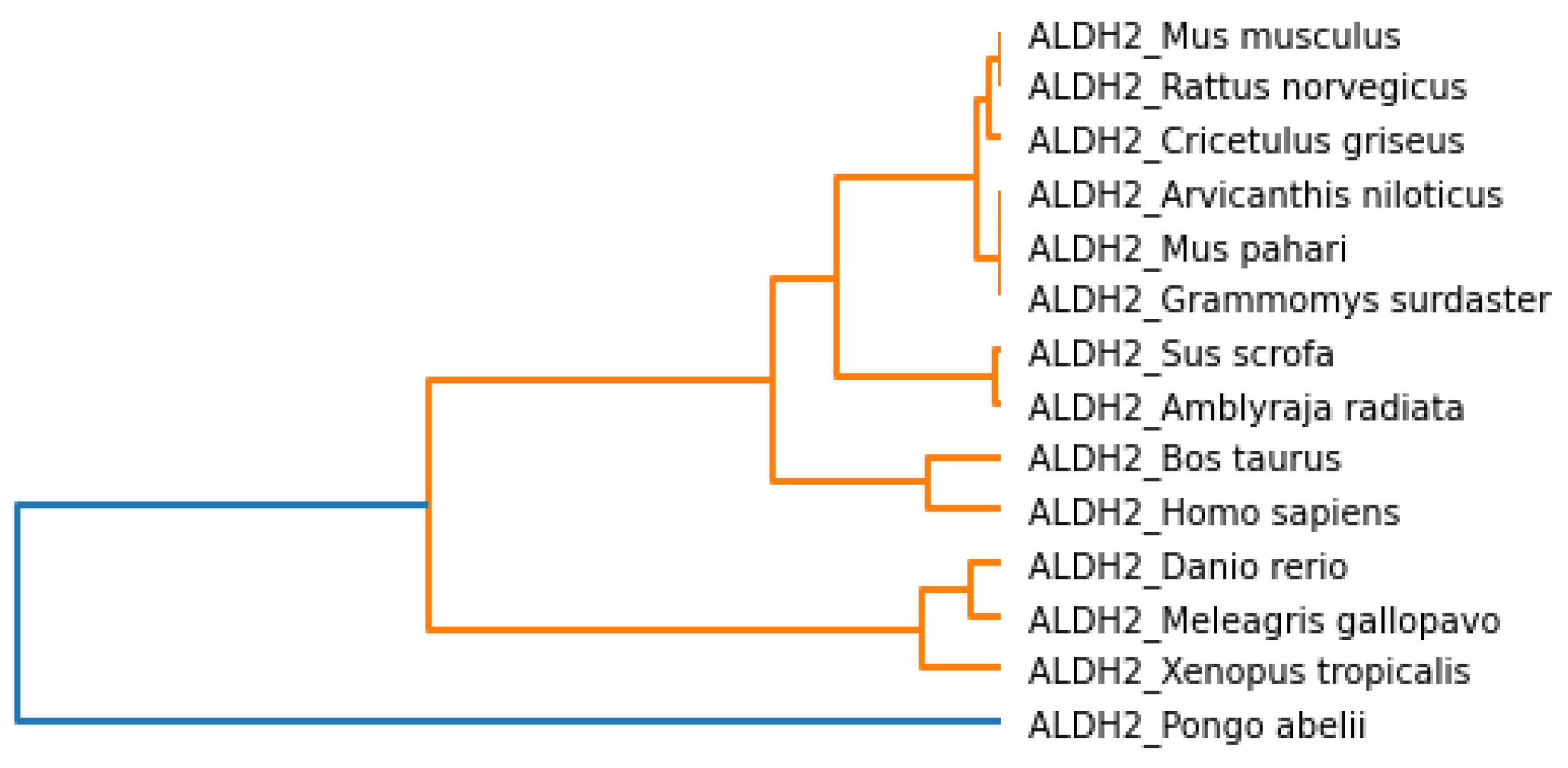 Mathematics 10 02228 g014 Mathematics 10 02228 g014