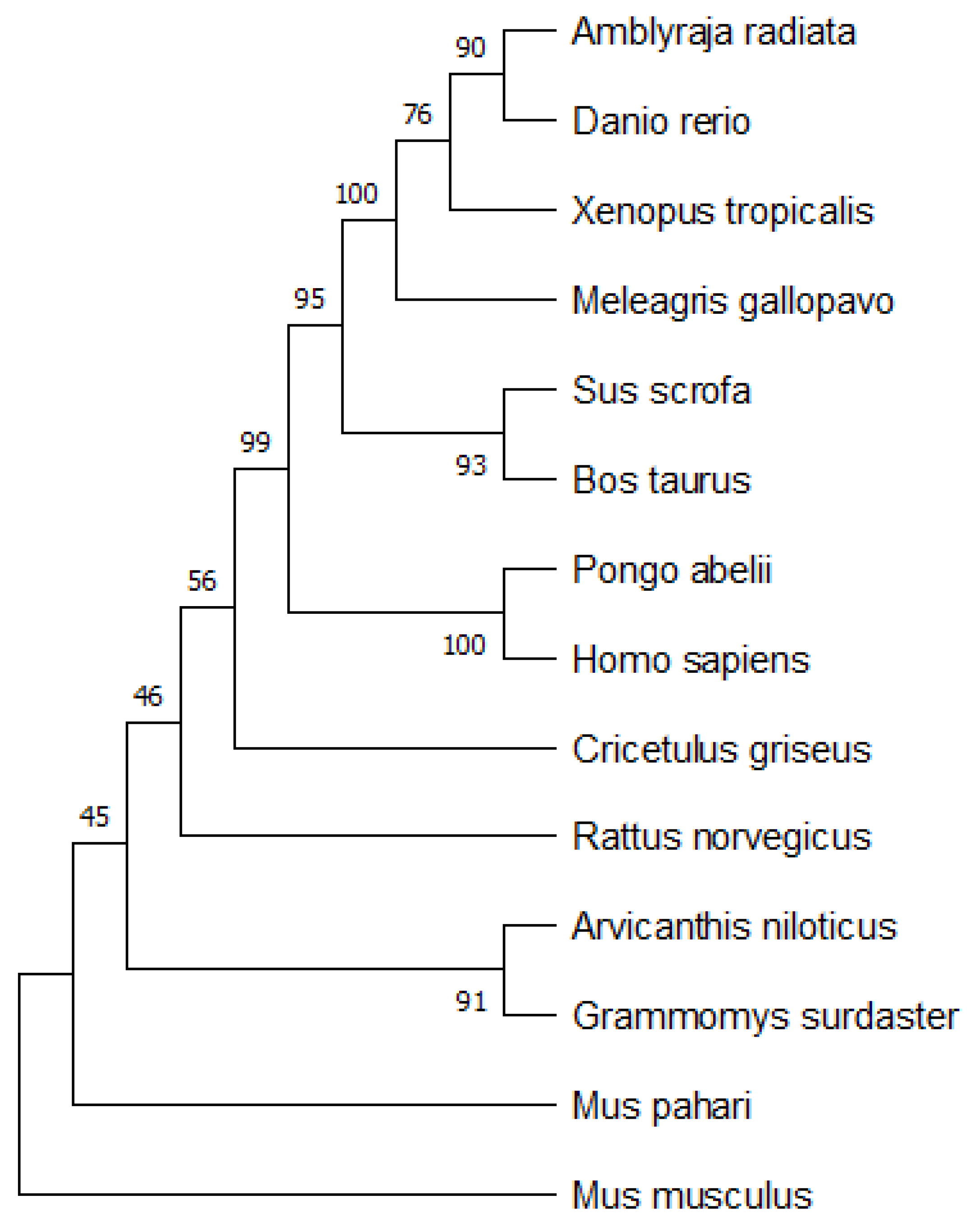 Mathematics 10 02228 g020 Mathematics 10 02228 g020