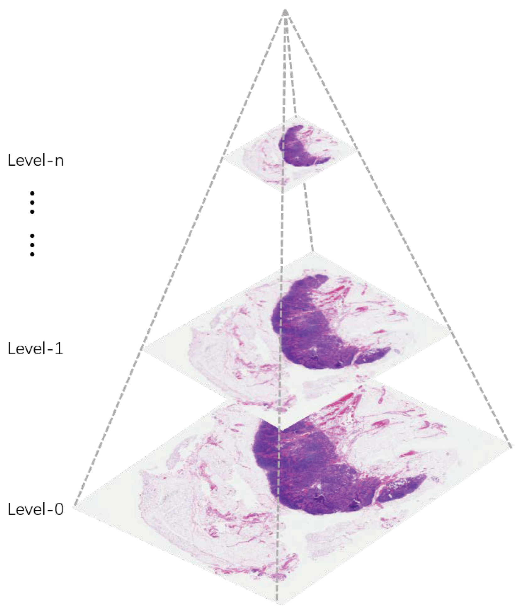 Mathematics 10 02404 g005