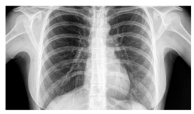 Mathematics 10 02421 i004