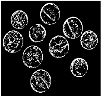 Mathematics 10 02421 i059