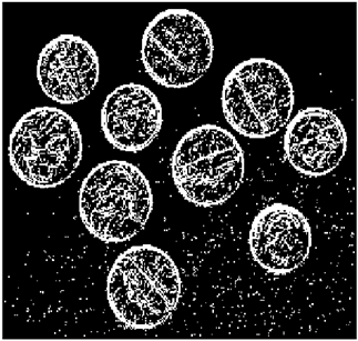 Mathematics 10 02421 i062