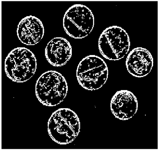 Mathematics 10 02421 i071