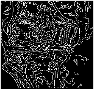 Mathematics 10 02421 i141