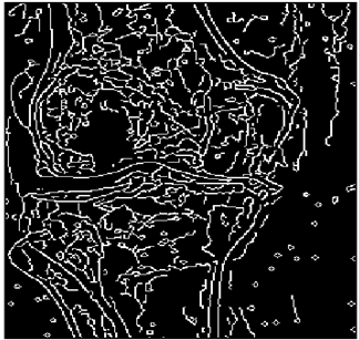 Mathematics 10 02421 i150