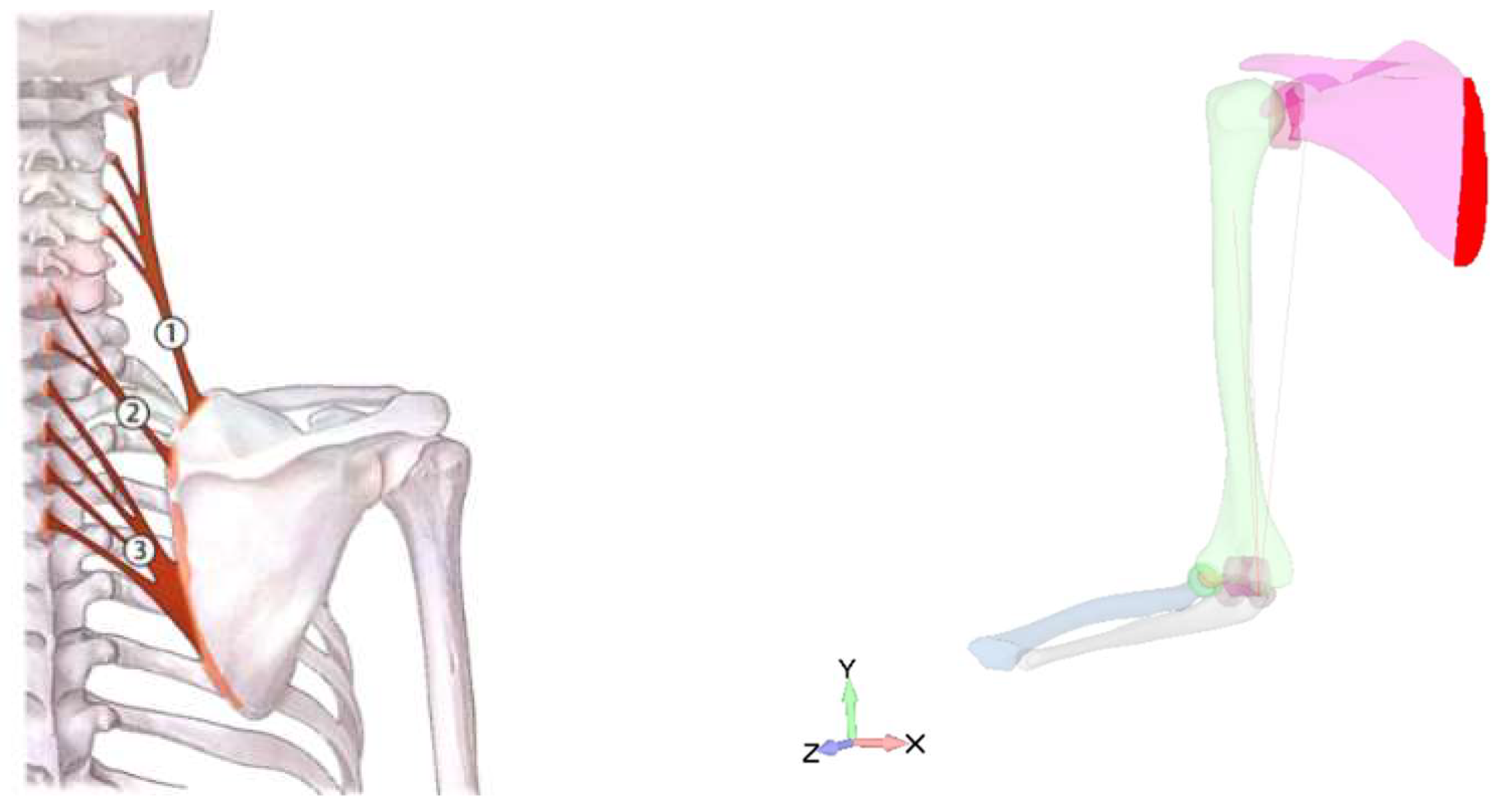 Mathematics 10 02441 g007