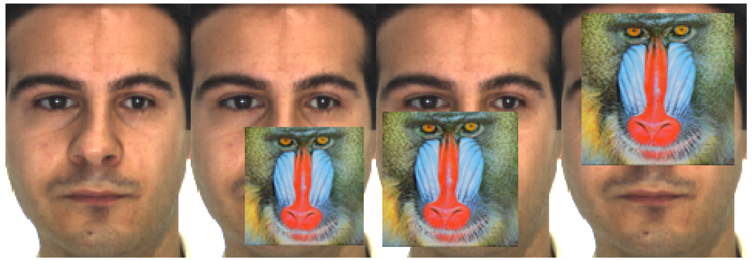 Mathematics 10 02587 g006