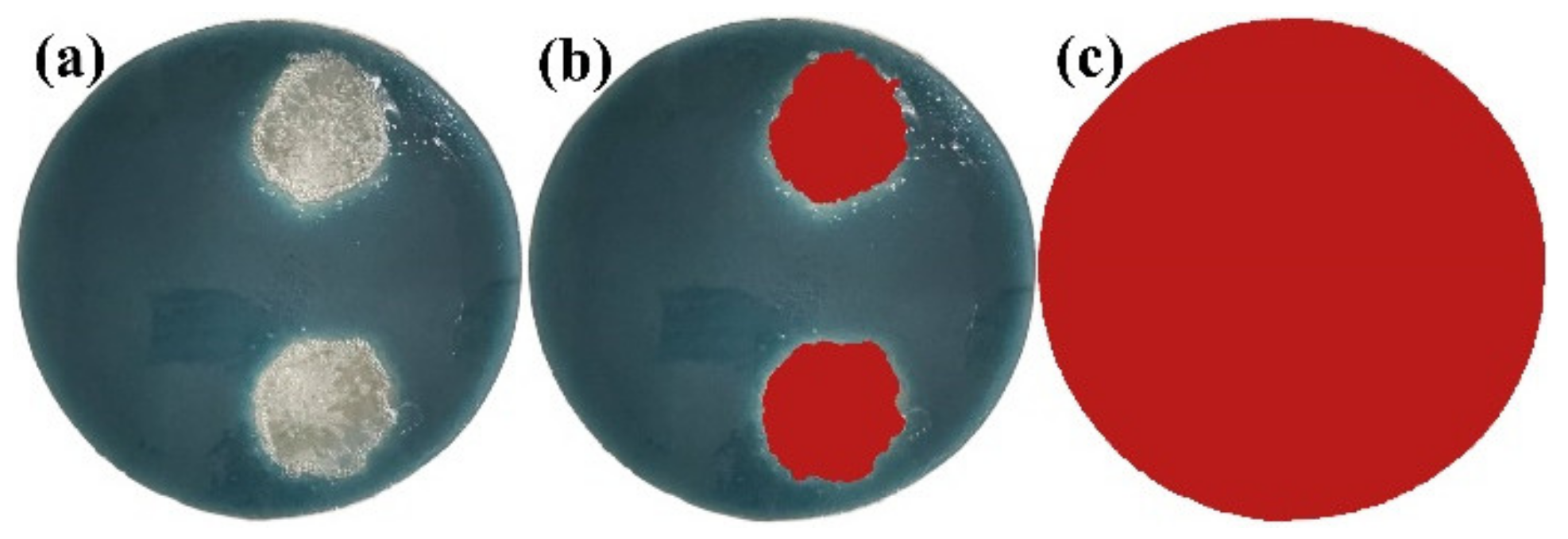 Mathematics 10 02610 g002