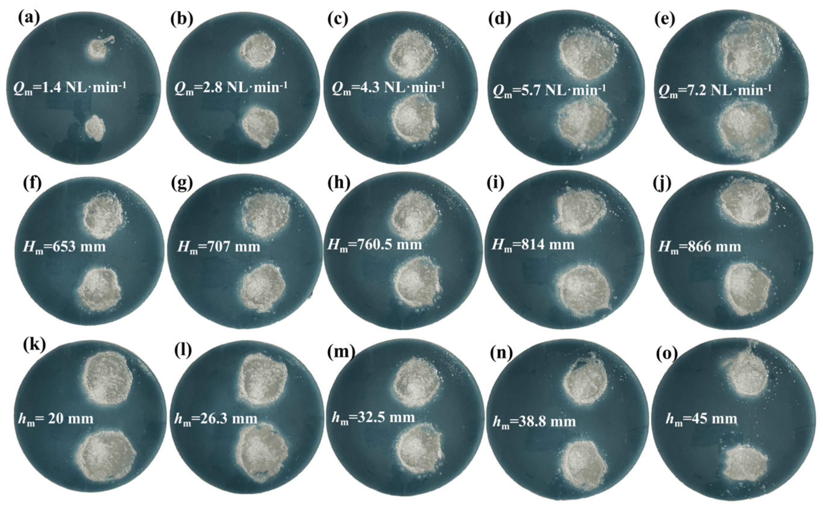 Mathematics 10 02610 g006