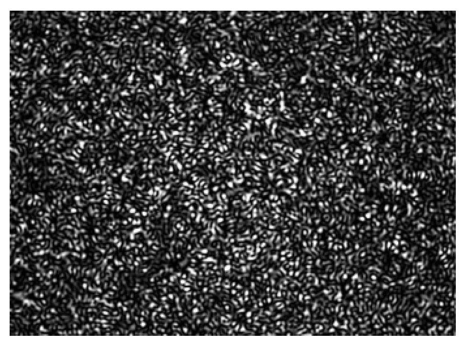 Mathematics 10 03023 g012 Mathematics 10 03023 g012