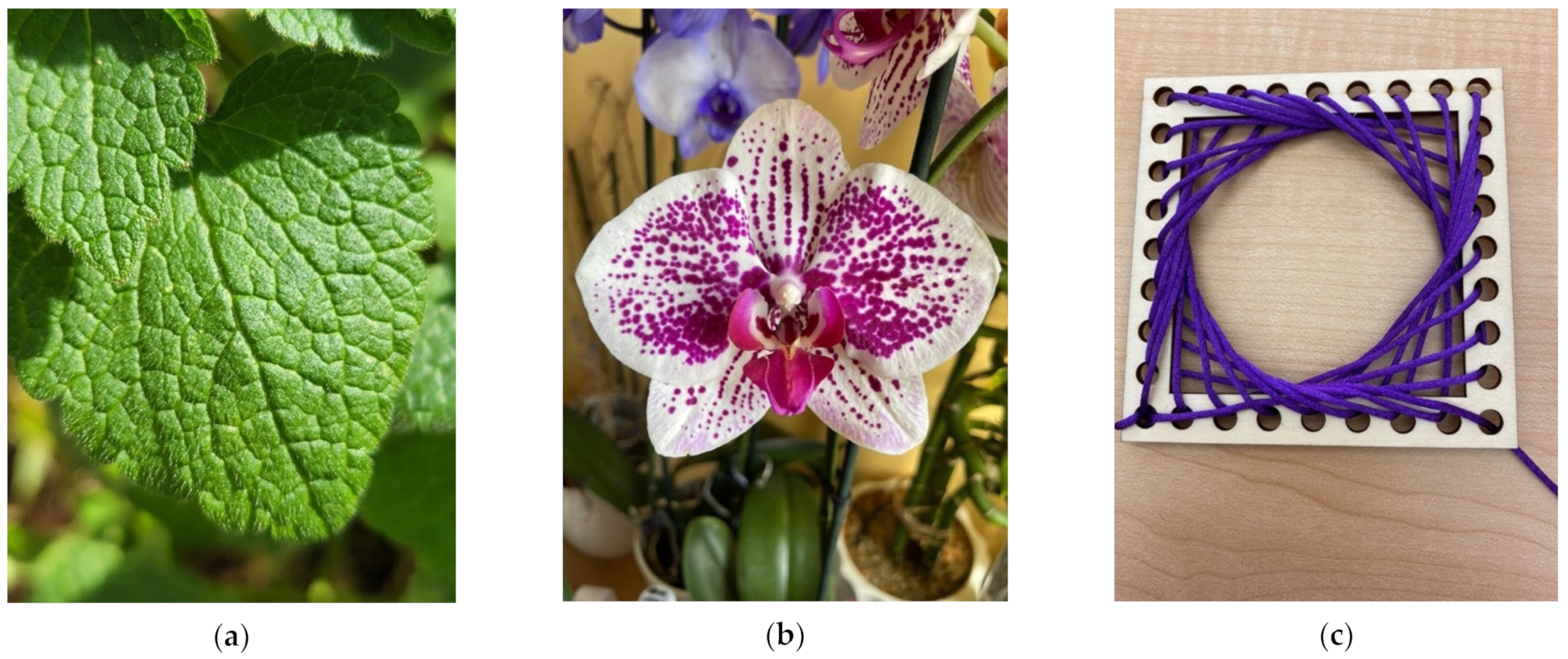 Mathematics 10 03069 g002