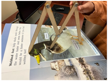 Mathematics 10 03069 i006