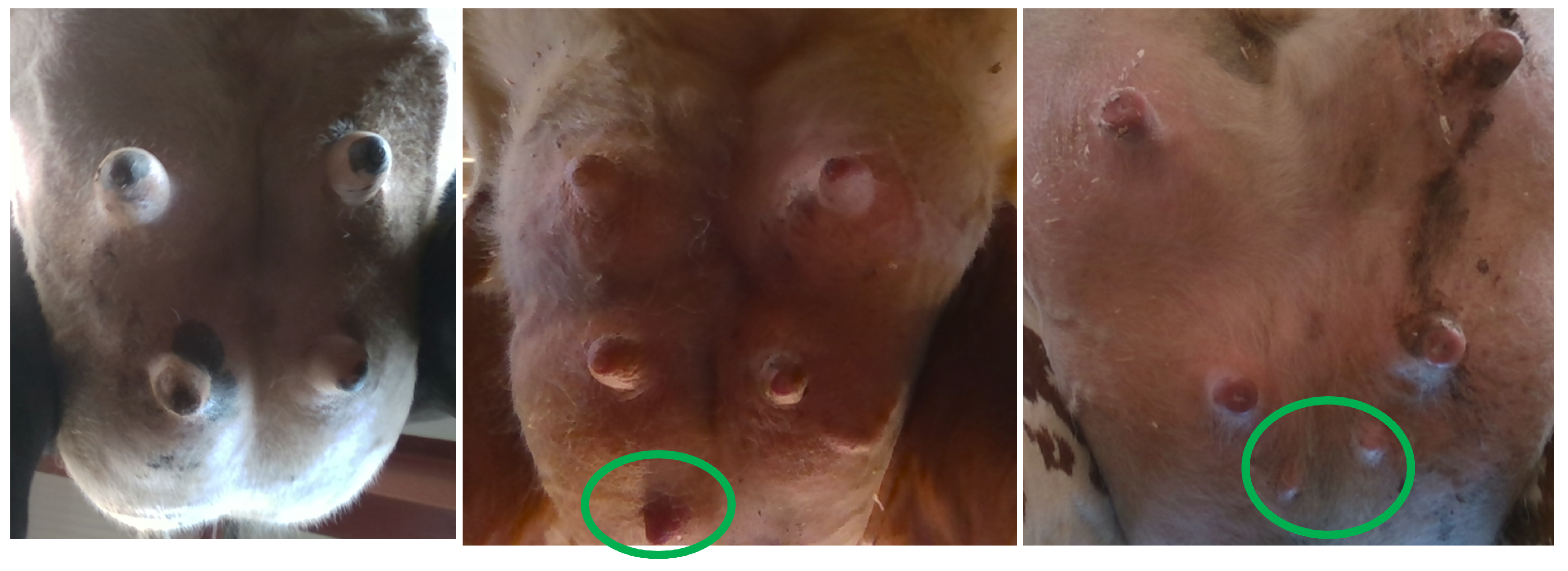 Mathematics 10 03097 g001