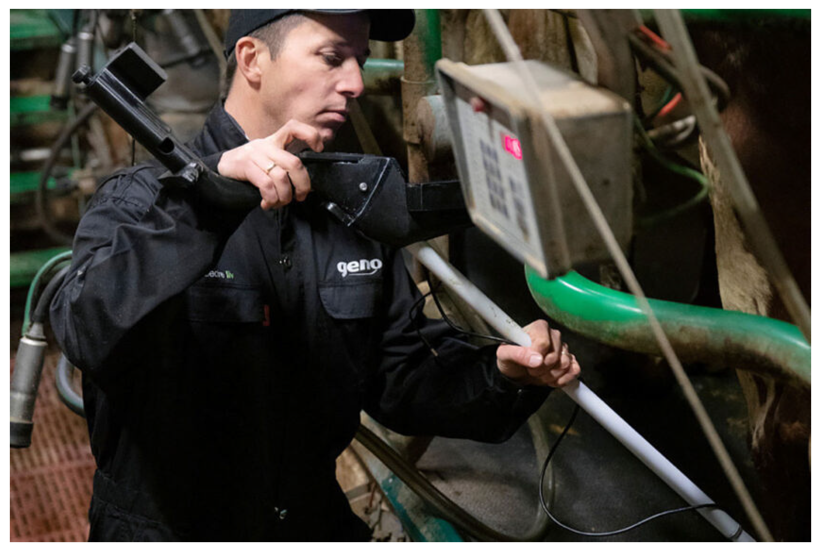 Mathematics 10 03097 g005