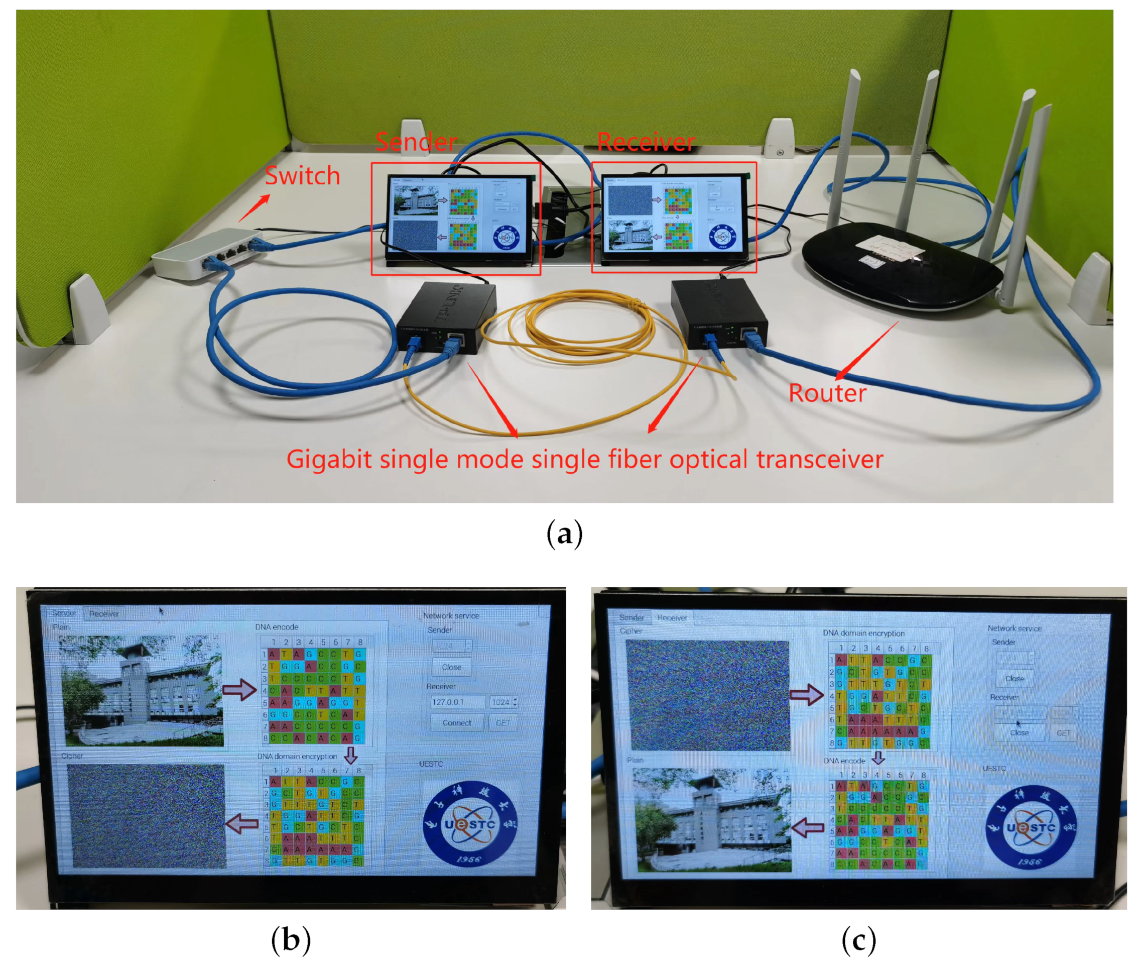 Mathematics 10 03180 g005