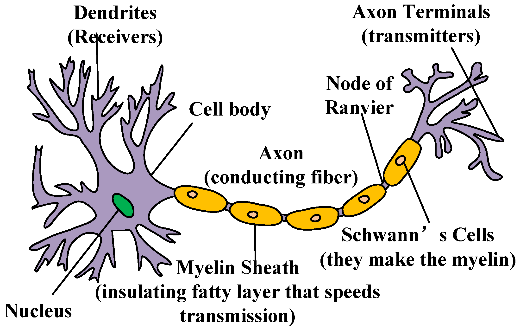 Mathematics 10 03737 g001