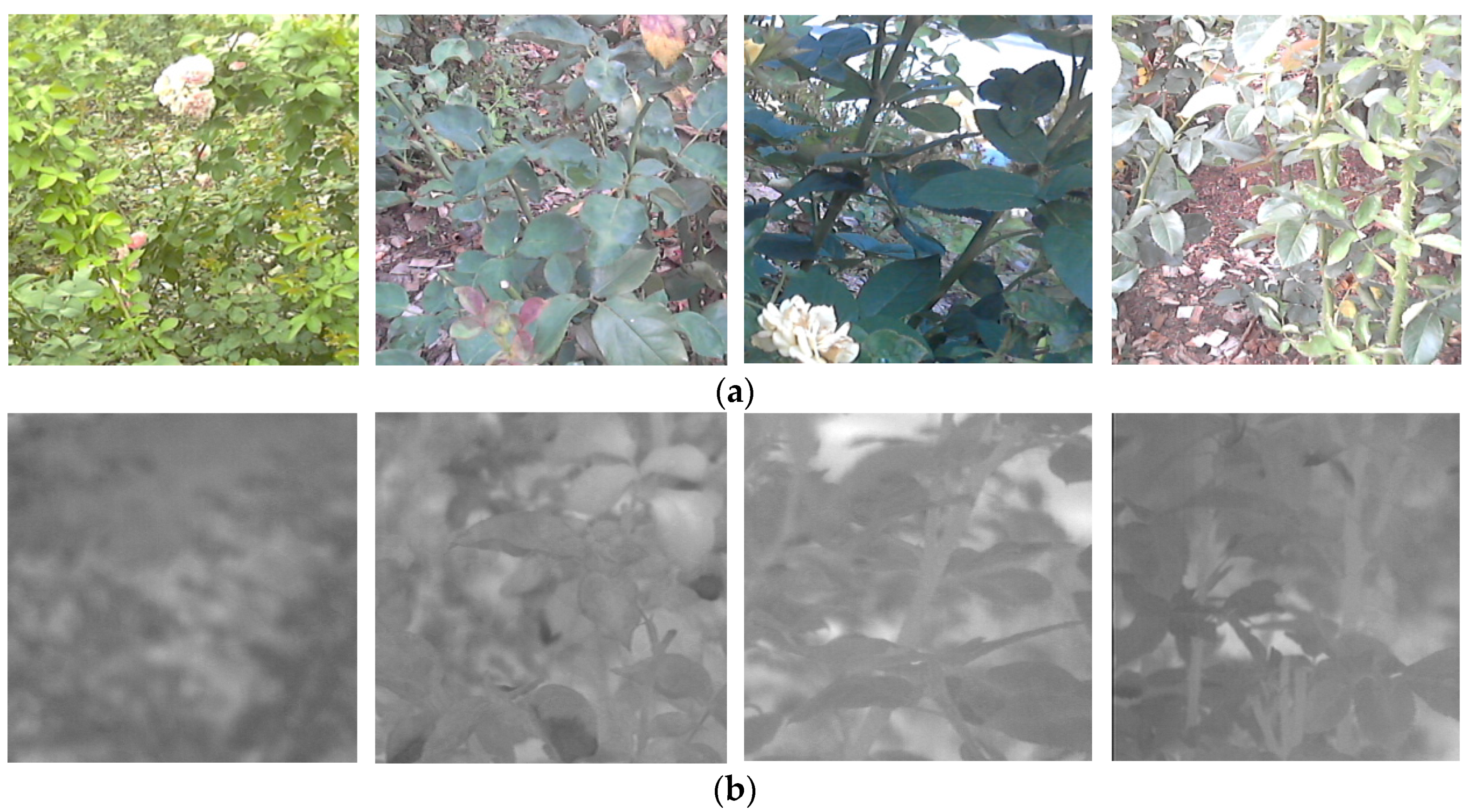 Mathematics 10 04053 g003