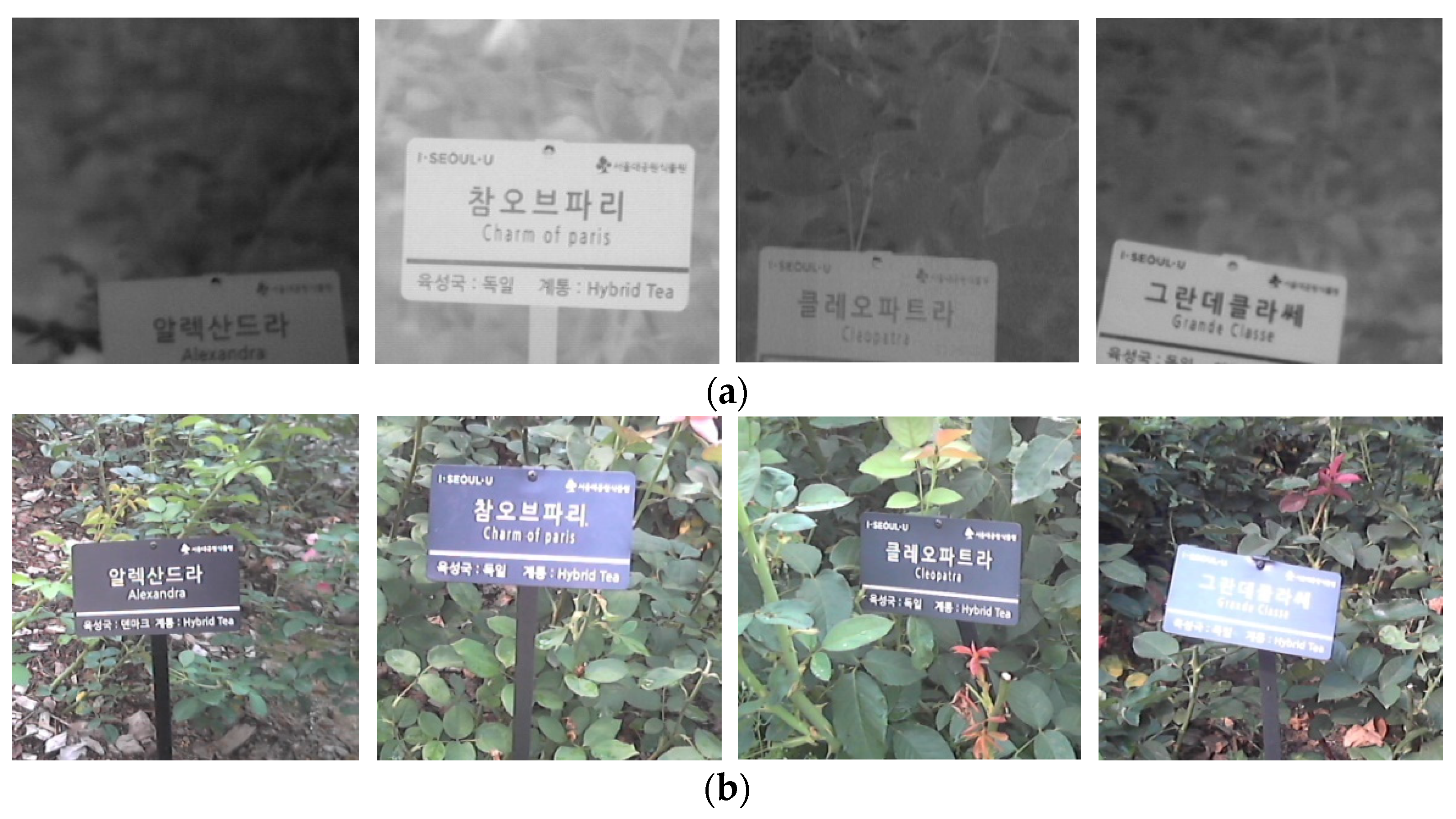 Mathematics 10 04053 g009