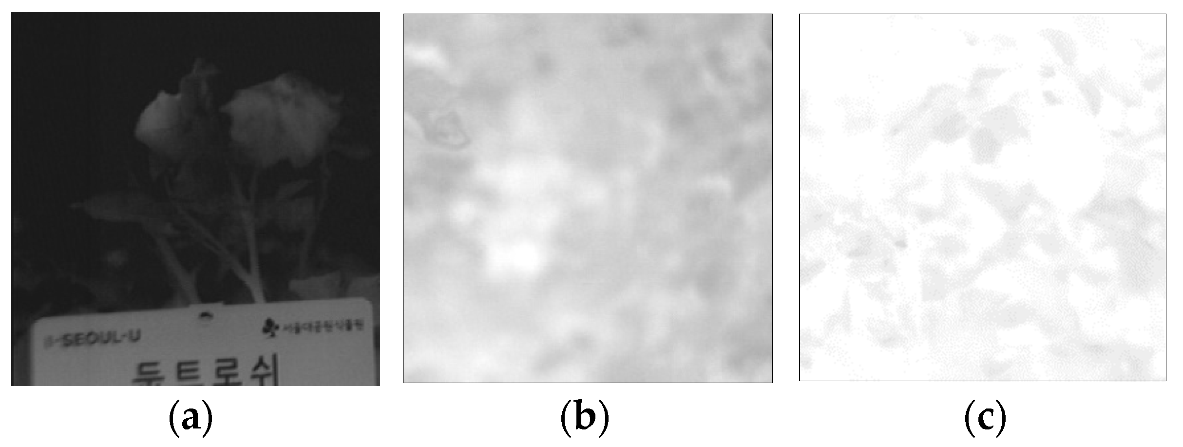 Mathematics 10 04053 g010