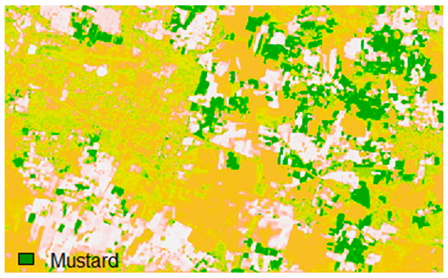 Mathematics 10 04056 i099