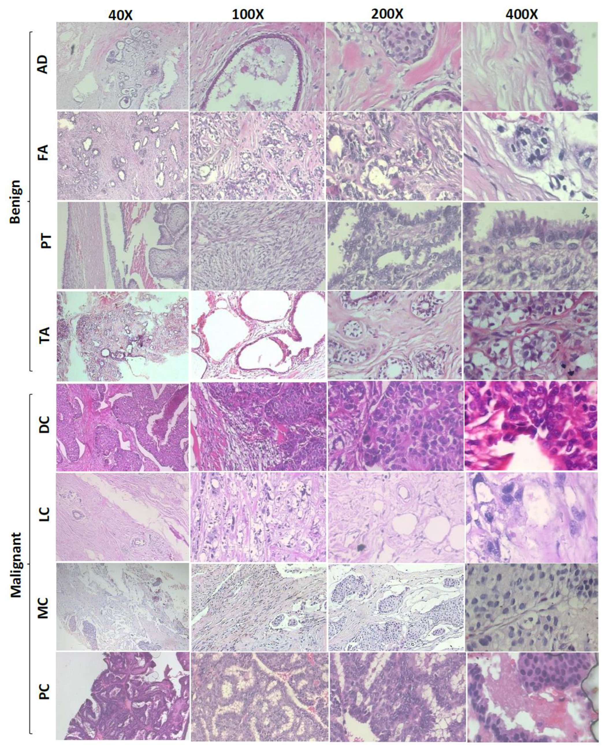 Mathematics 10 04109 g001