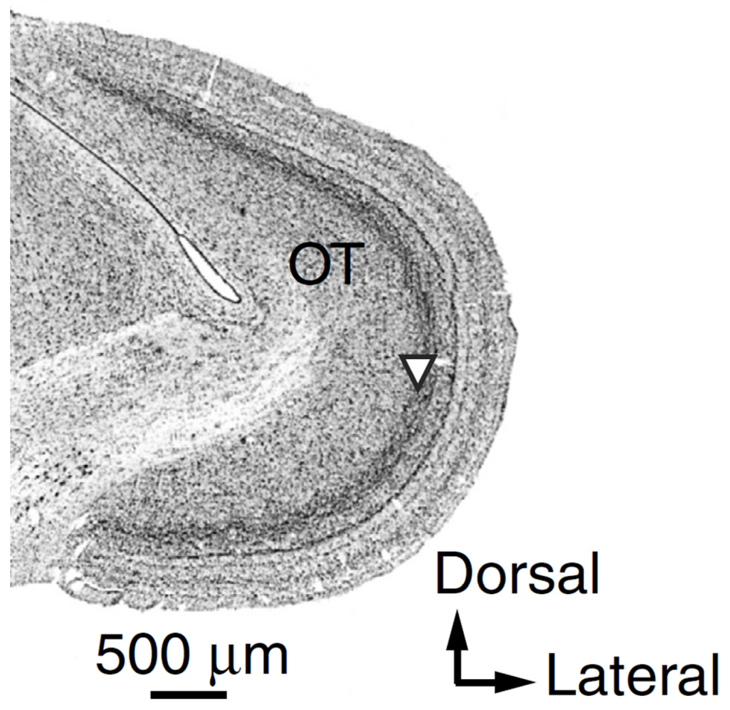 Mathematics 10 04125 g001 Mathematics 10 04125 g001