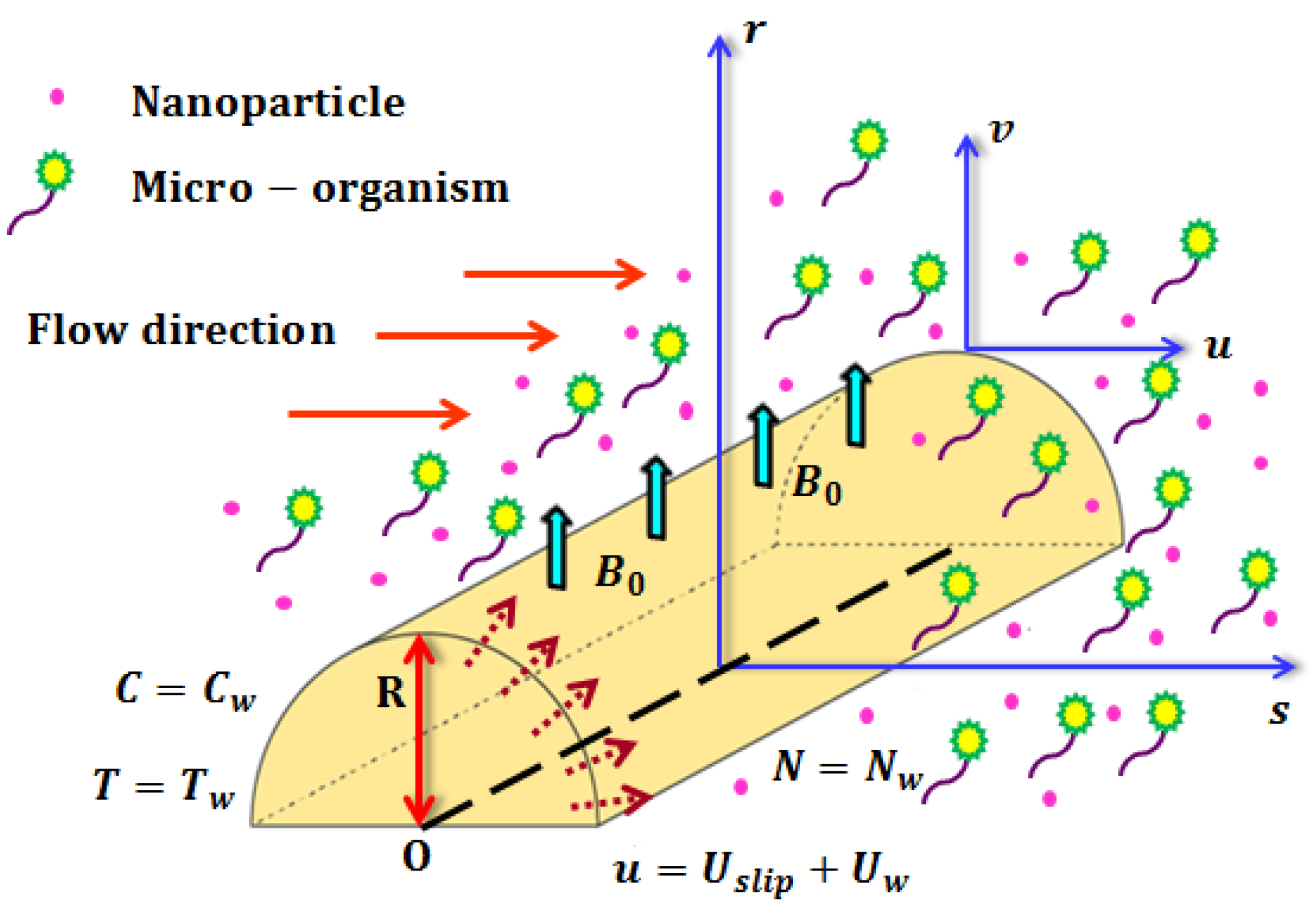 Mathematics 10 04133 g001