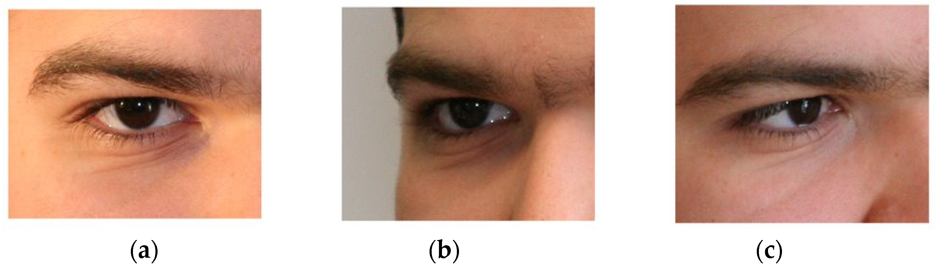 Mathematics 10 04604 g011