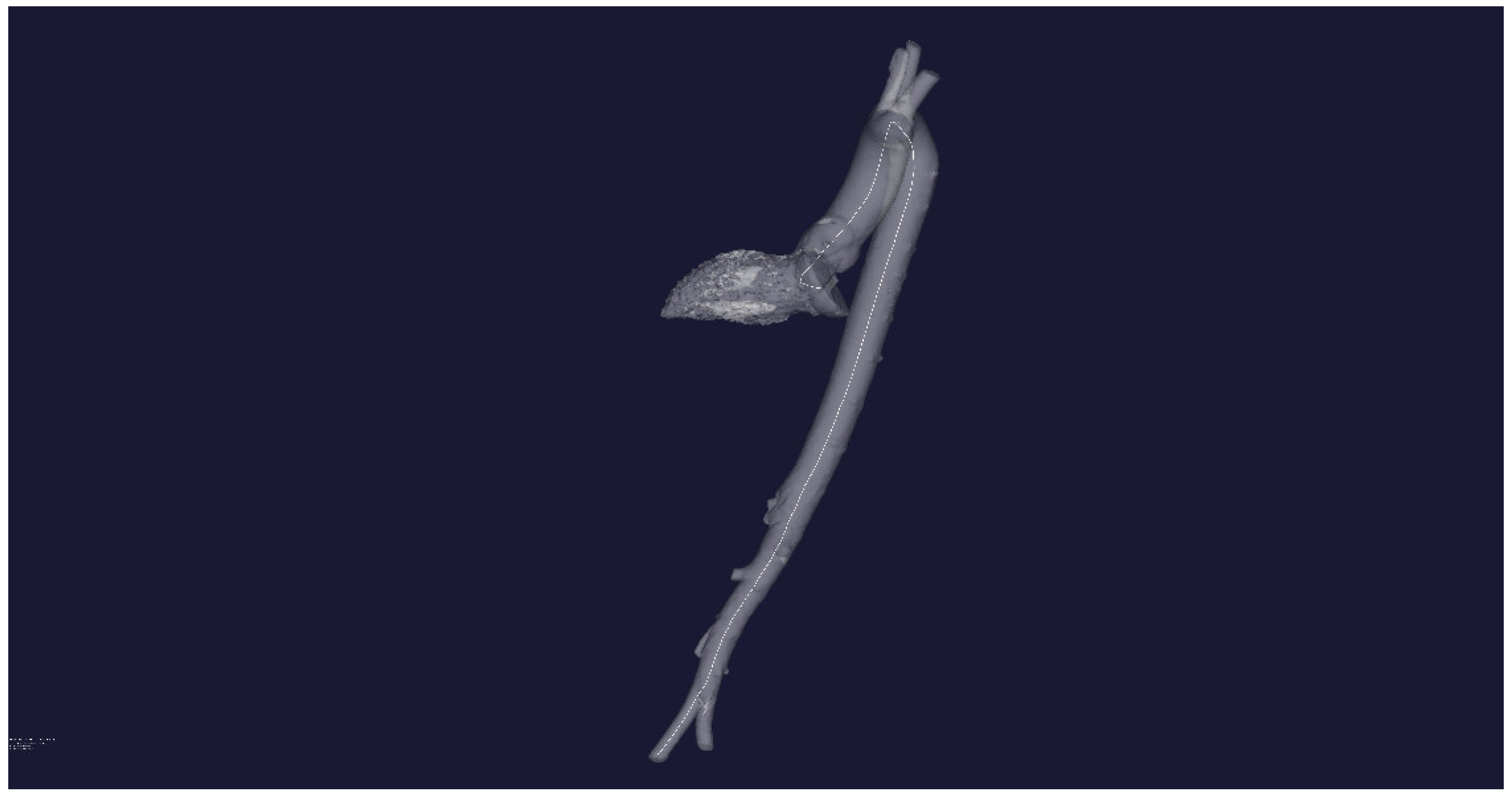 Mathematics 10 04773 g004 Mathematics 10 04773 g004