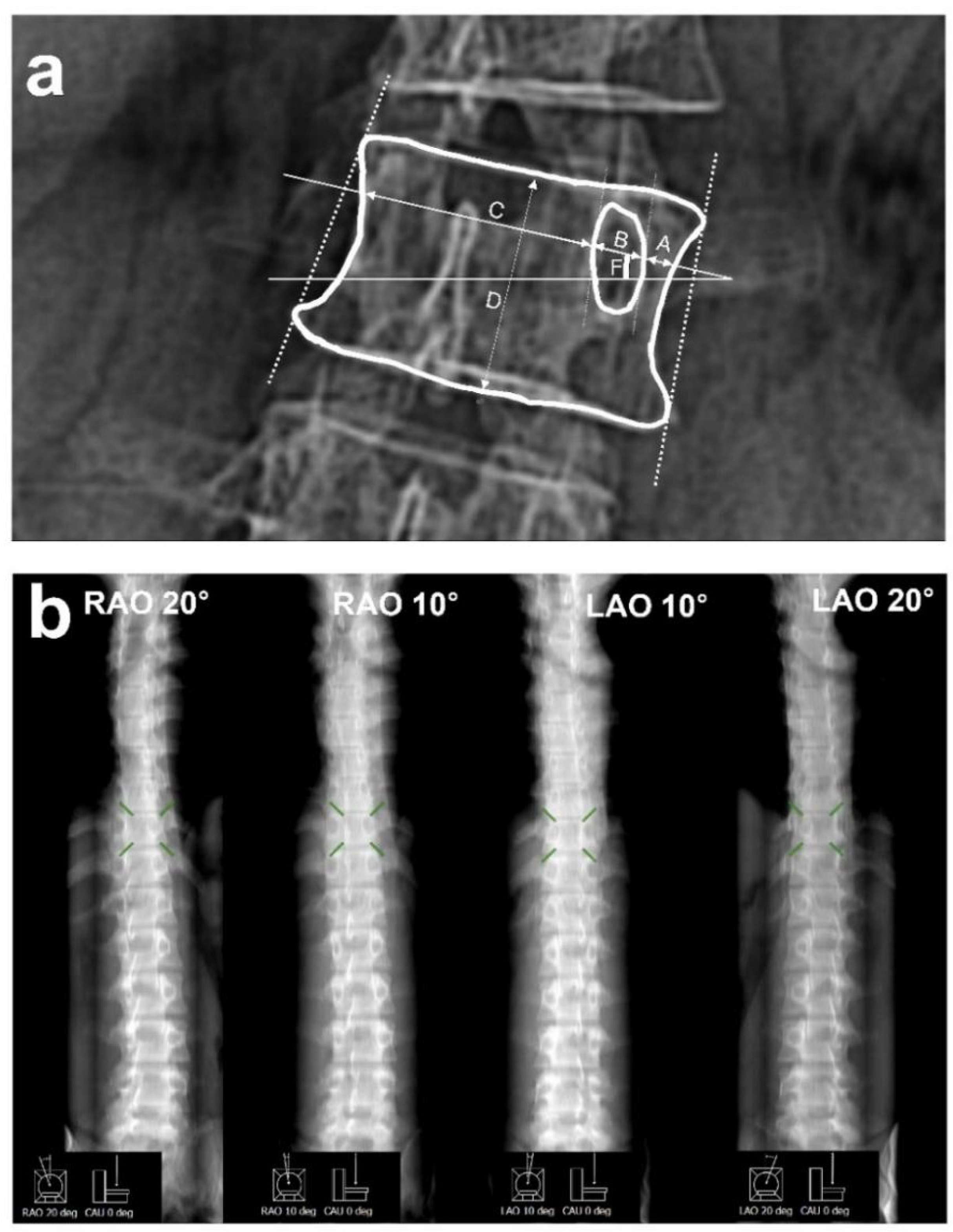 Mathematics 10 04781 g003