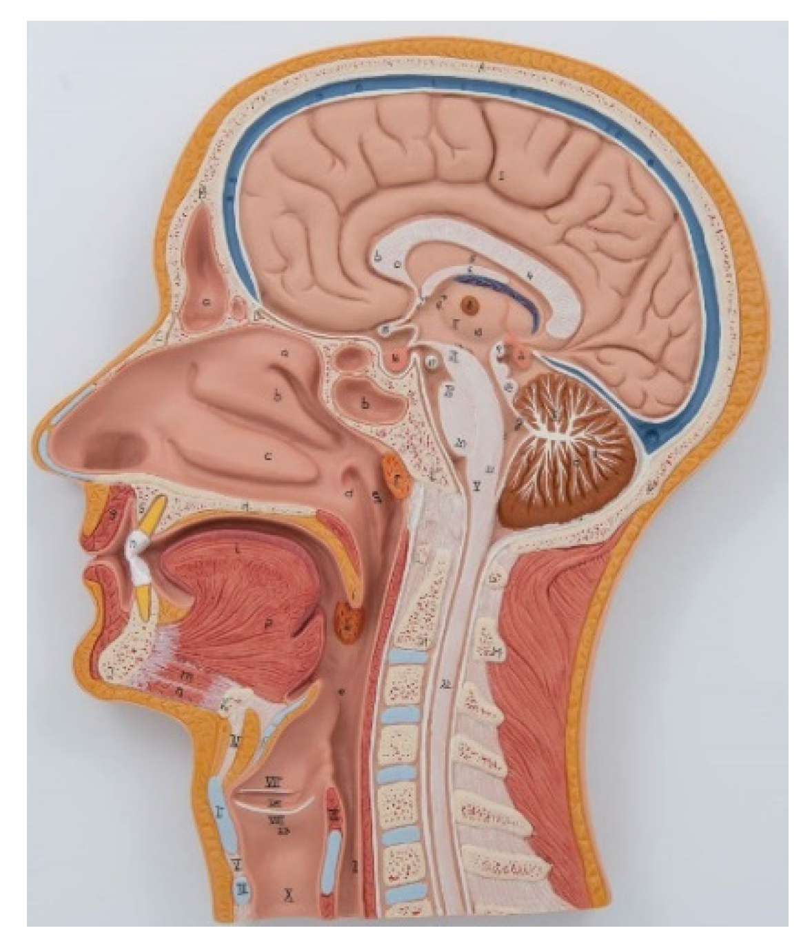 Mathematics 11 00219 g003