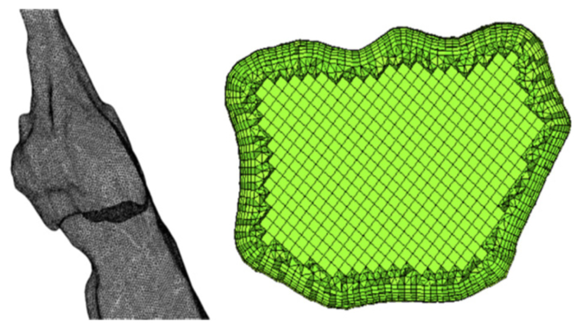Mathematics 11 00219 g006