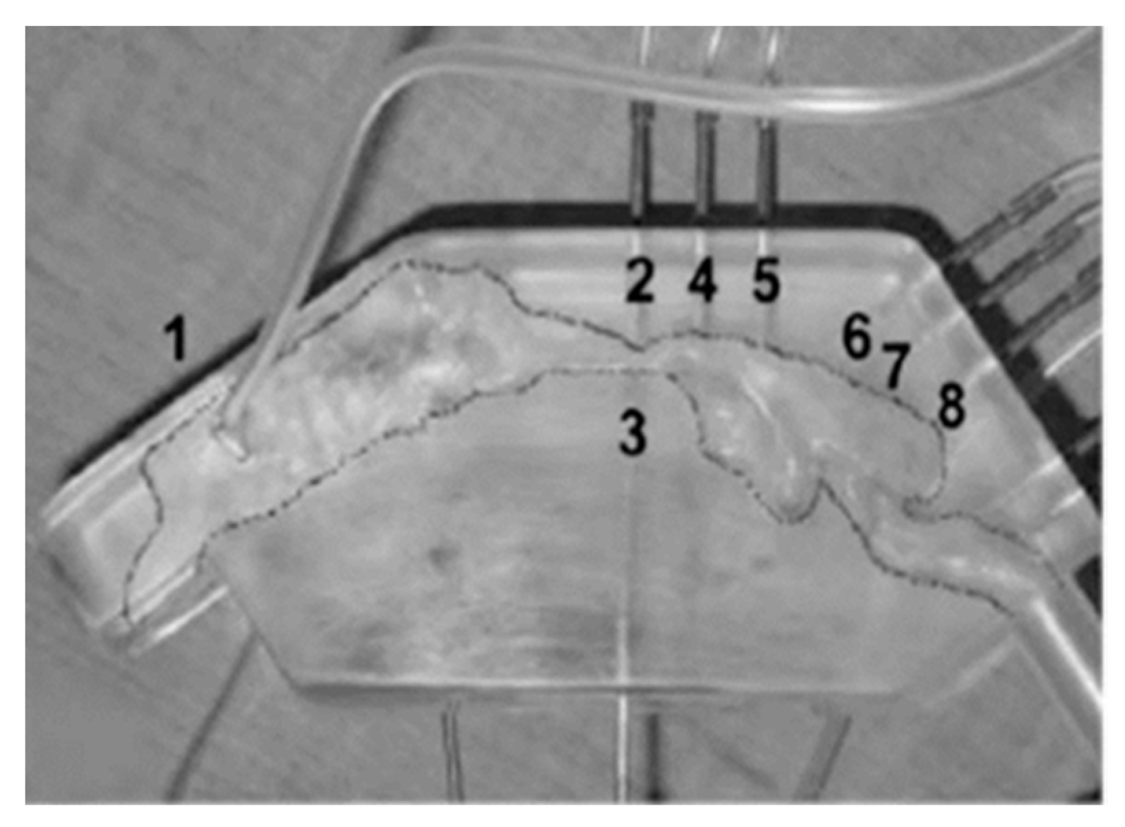 Mathematics 11 00219 g009