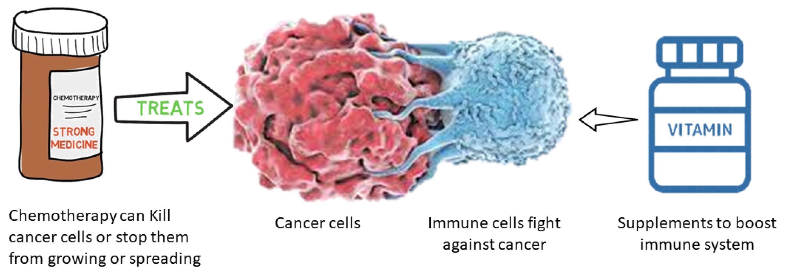 Mathematics 11 00406 g001