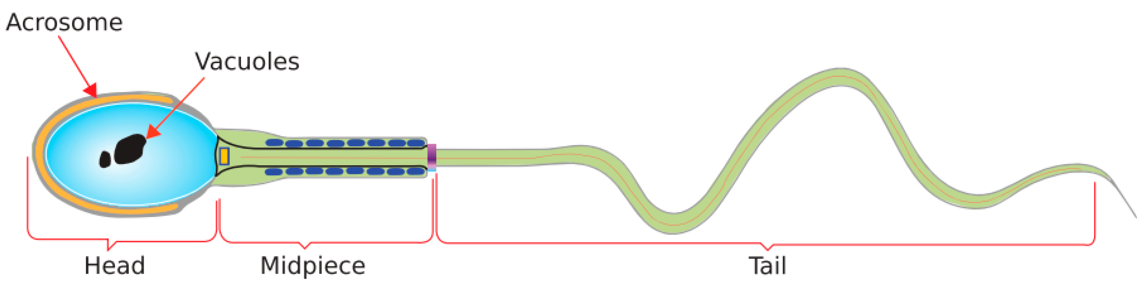 Mathematics 11 00515 g001