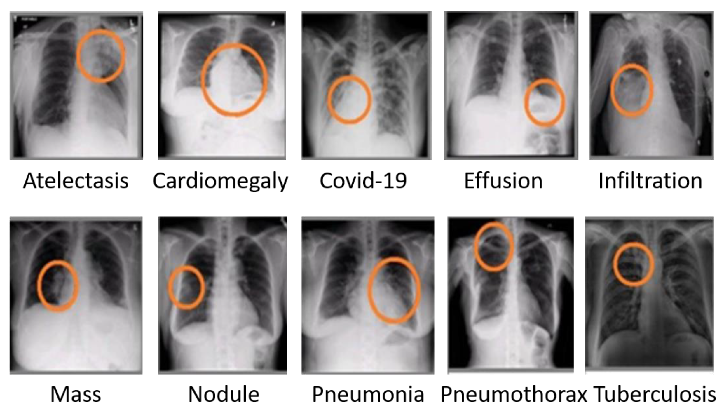 Mathematics 11 01489 g001