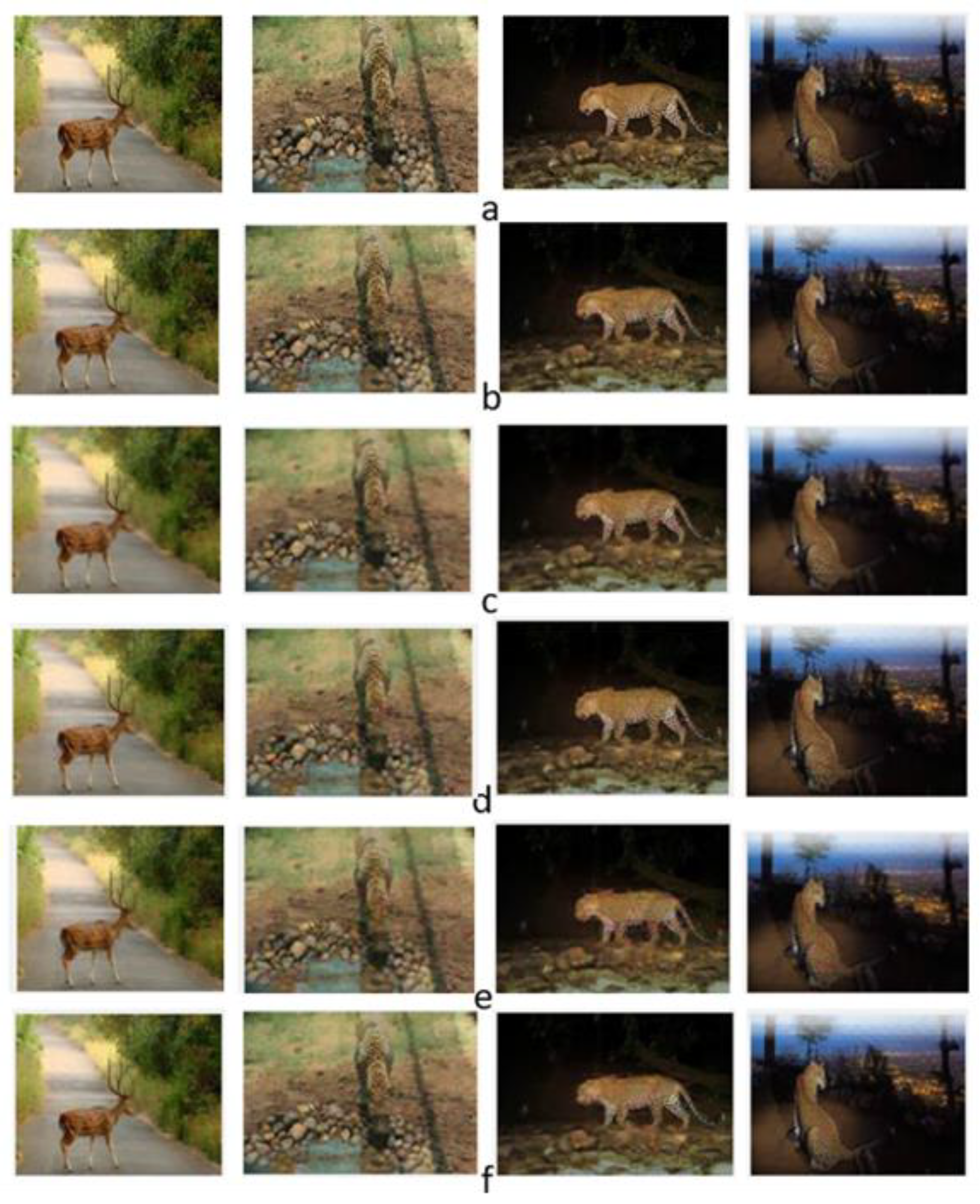 Mathematics 11 01660 g005