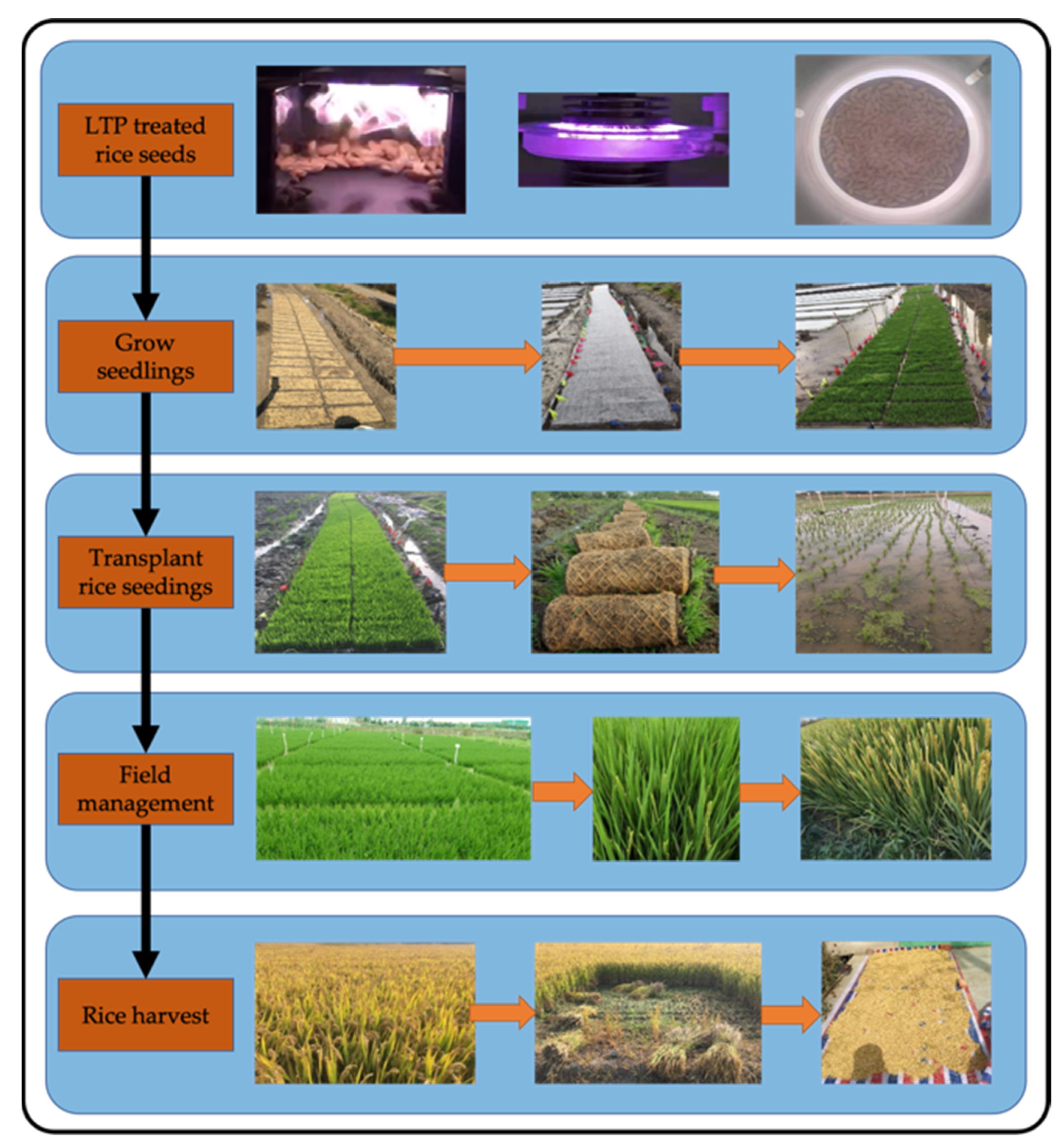 Mathematics 11 01686 g001 Mathematics 11 01686 g001