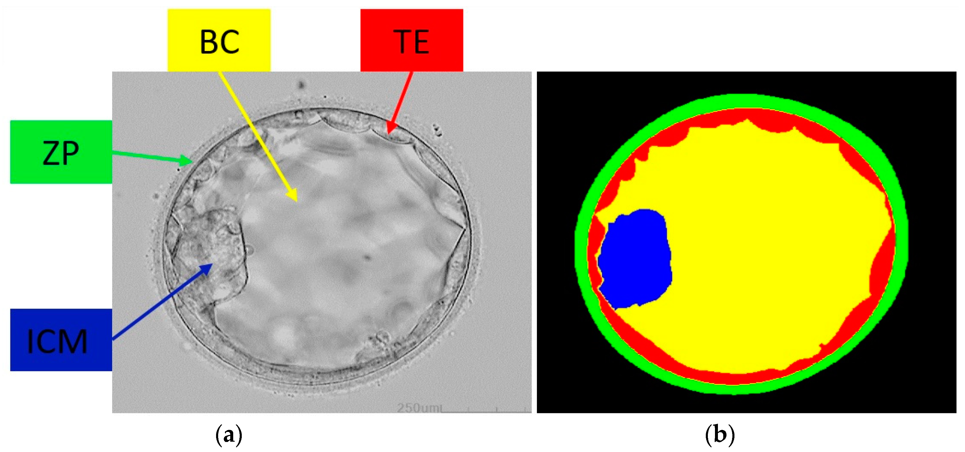 Mathematics 11 02023 g001