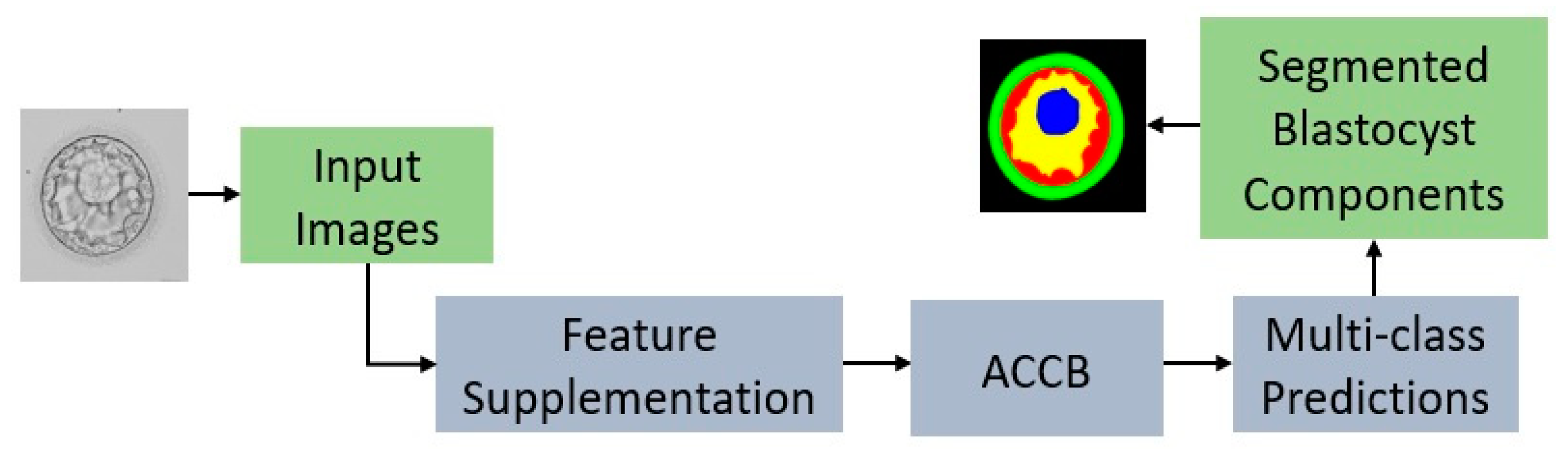 Mathematics 11 02023 g002