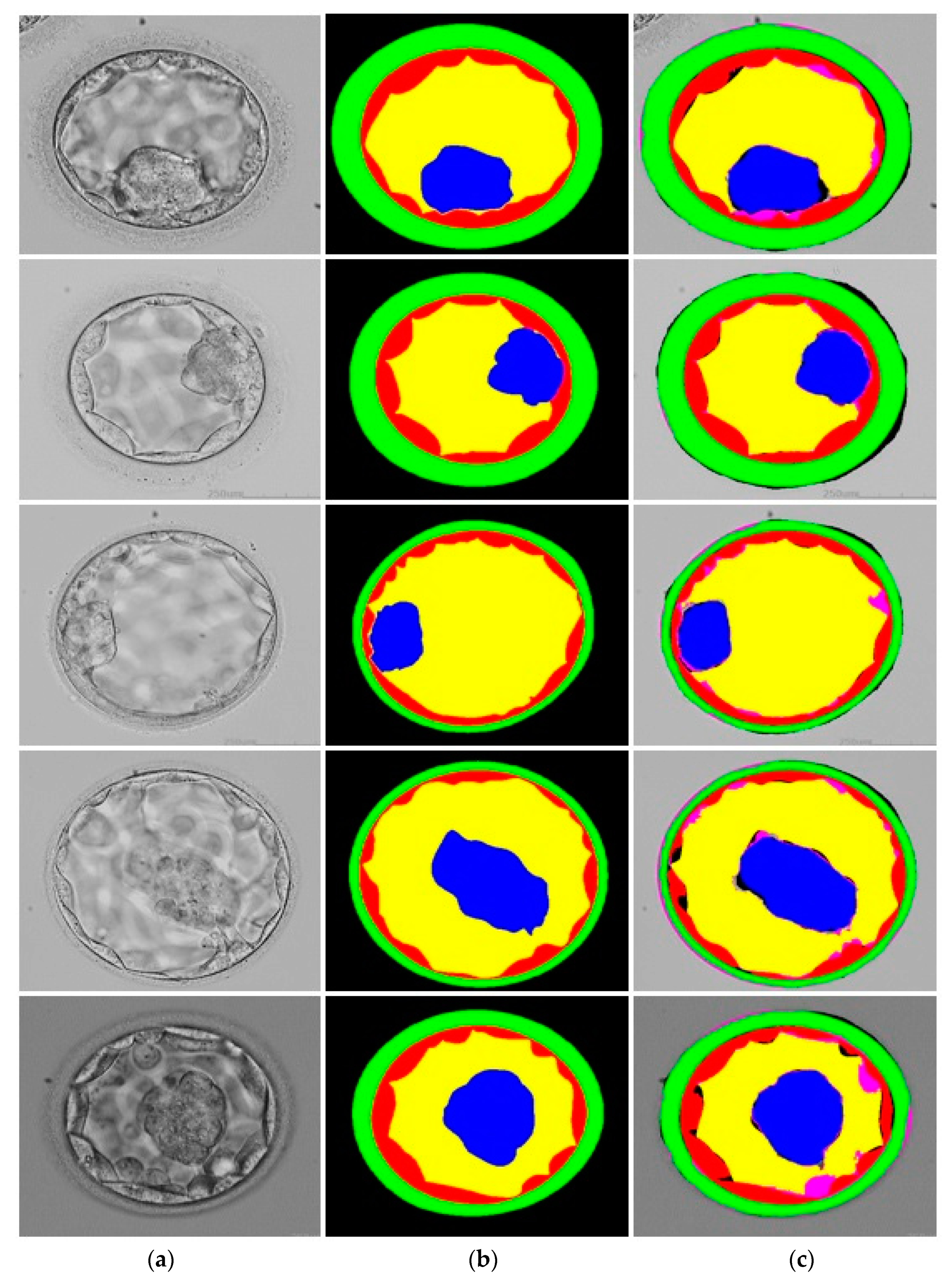 Mathematics 11 02023 g007