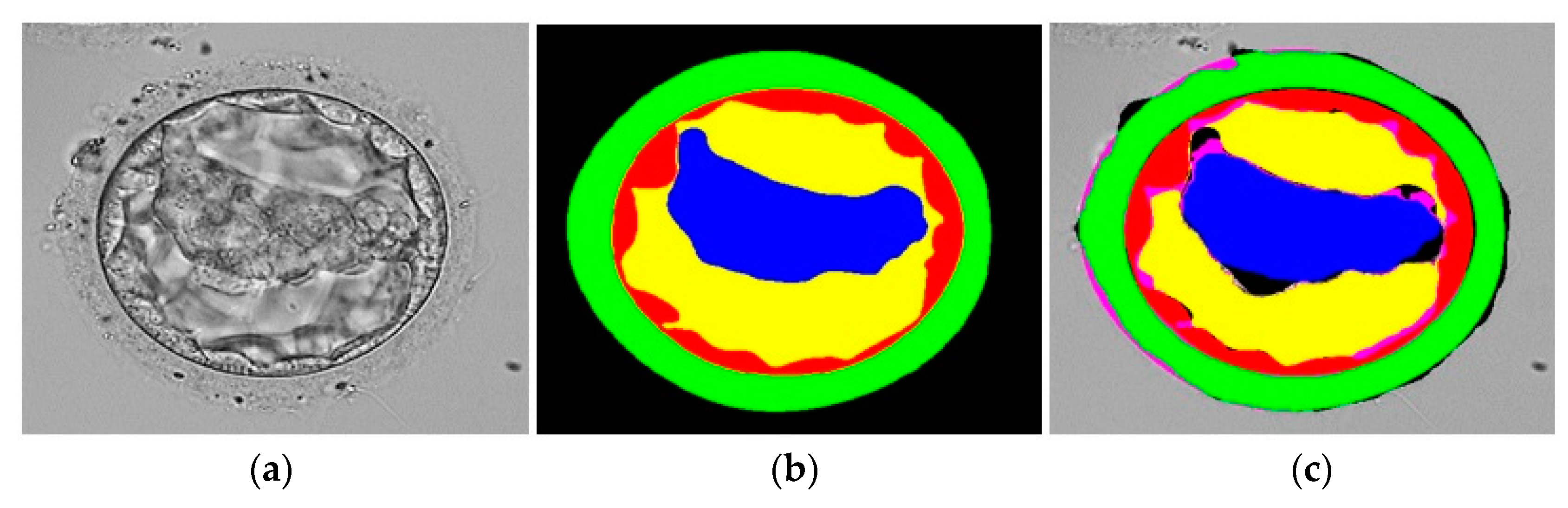 Mathematics 11 02023 g008