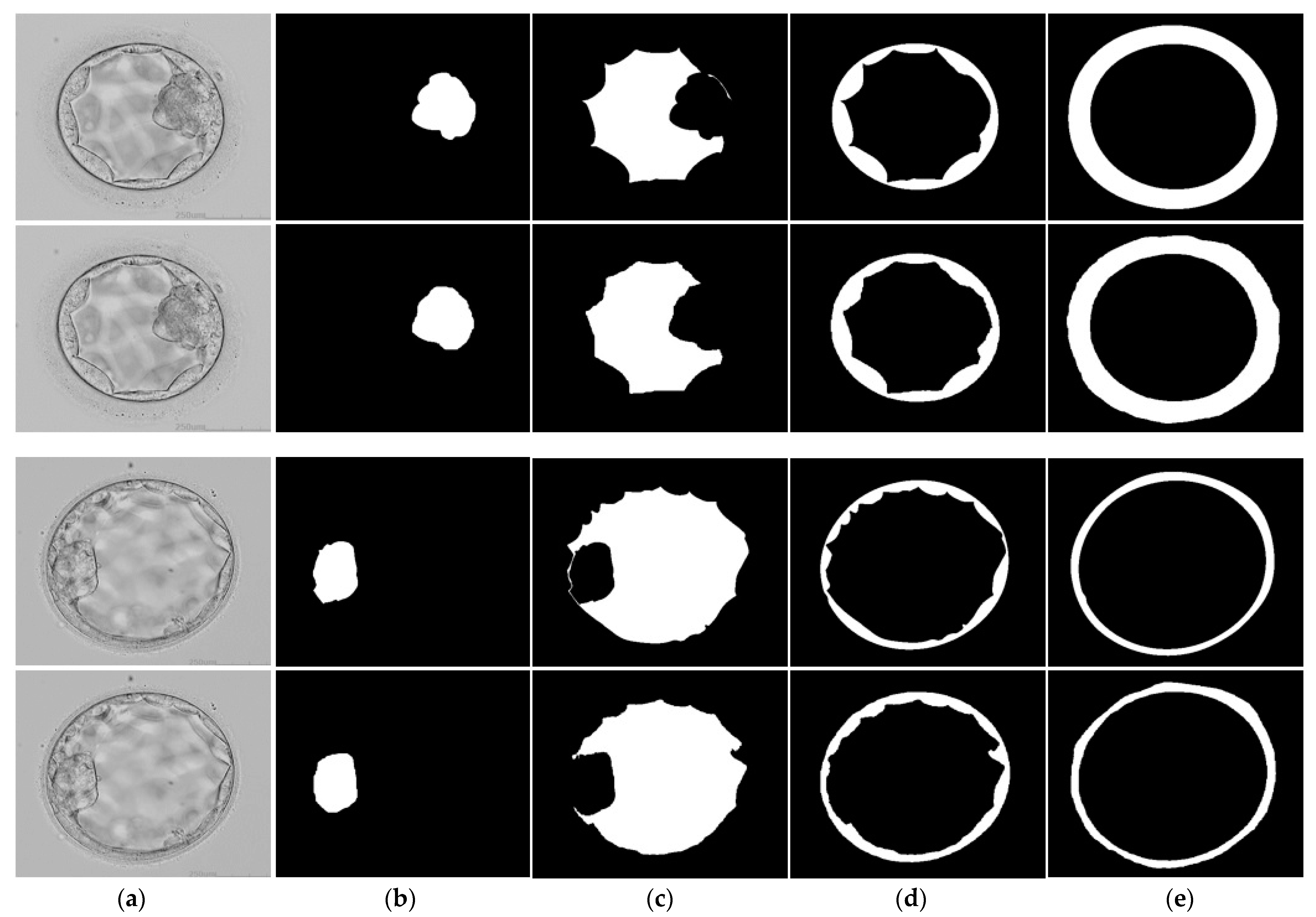 Mathematics 11 02023 g009