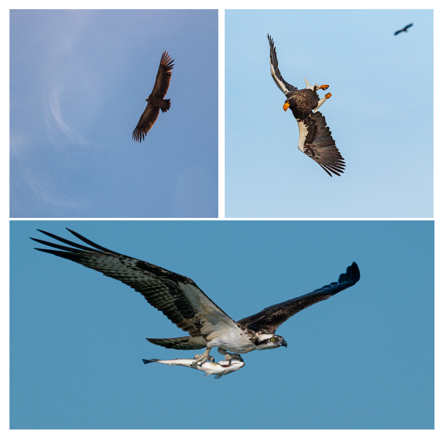 Mathematics 11 02093 g002