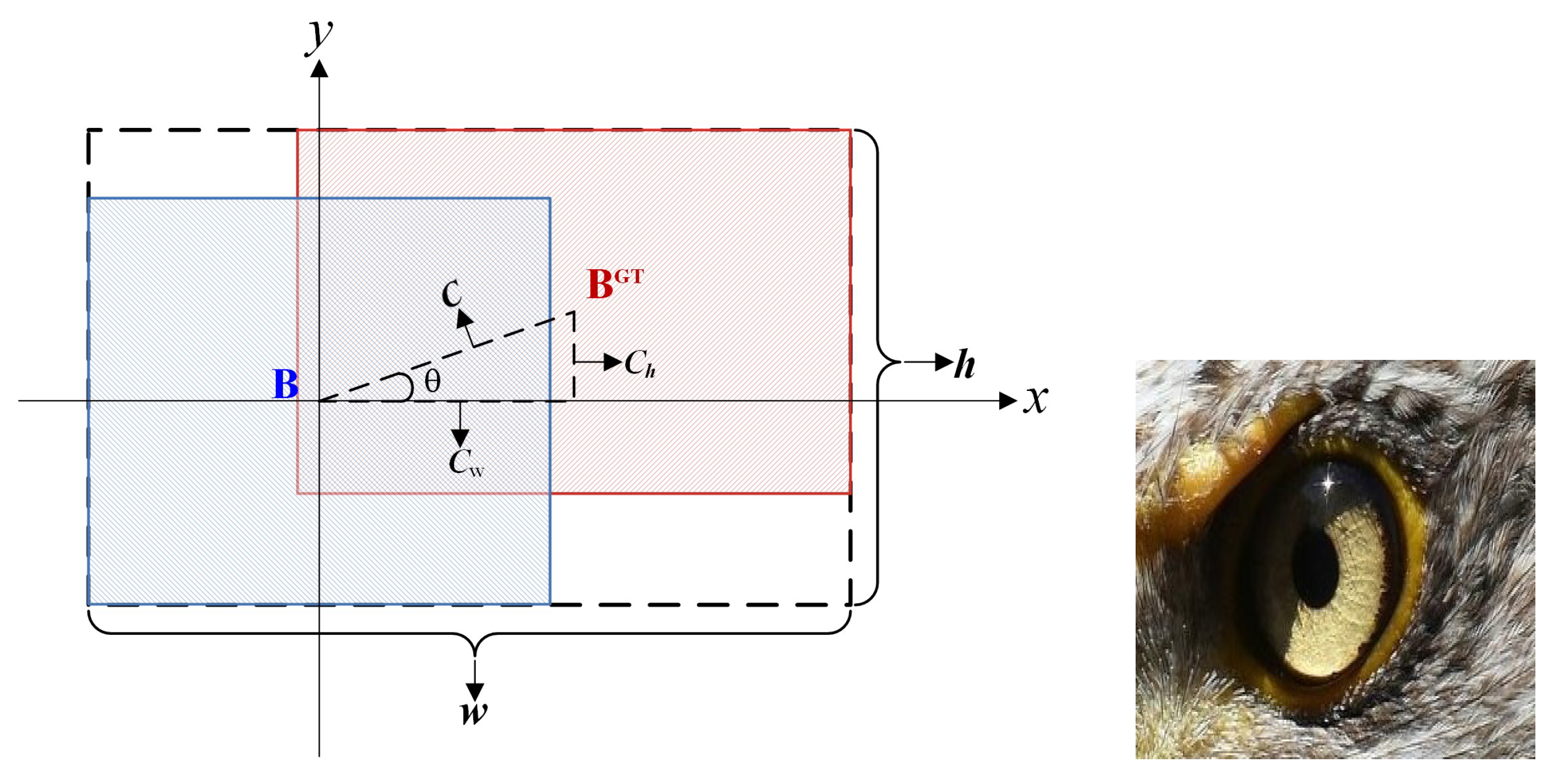 Mathematics 11 02093 g008