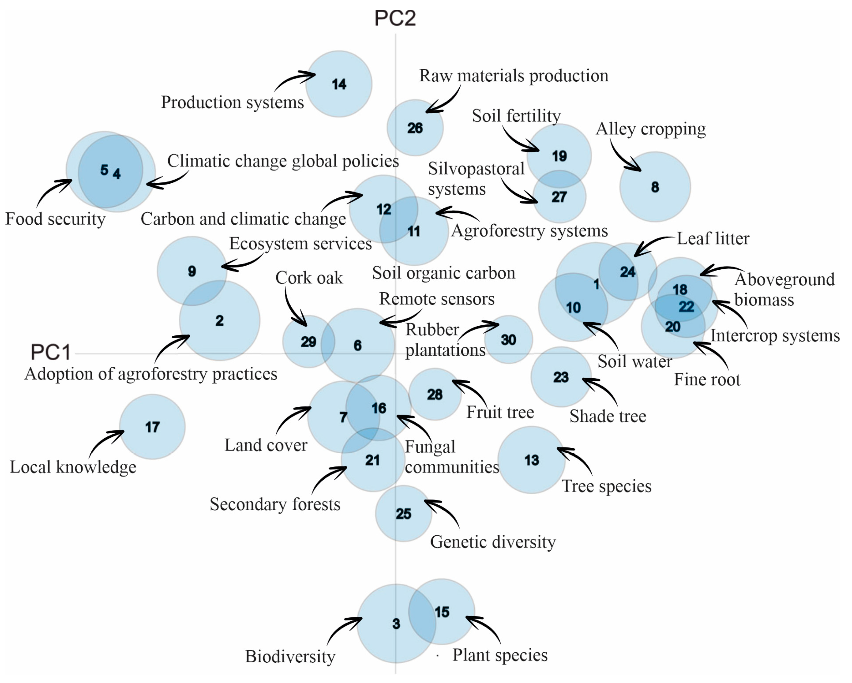 Mathematics 11 02250 g008