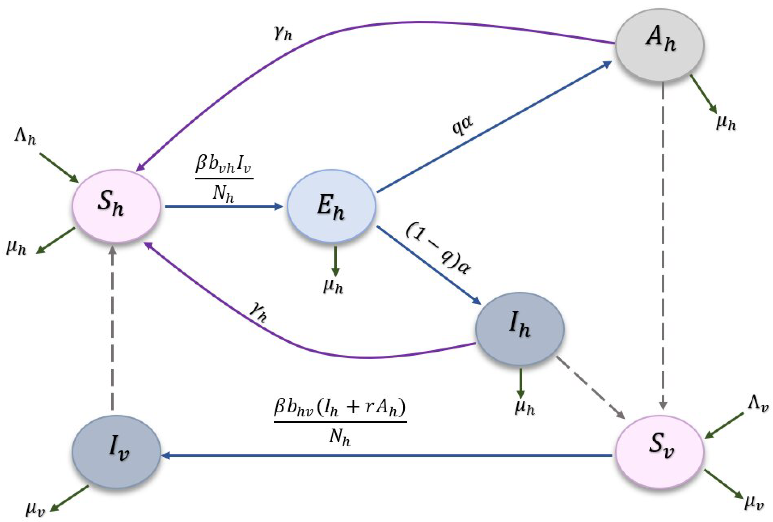 Mathematics 11 02388 g001